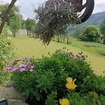 La Escuela En Cantabria *