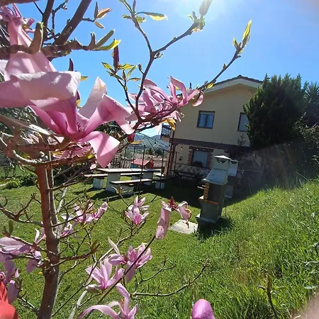 Apartman La Escuela En Cantabria