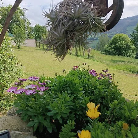 La Escuela En Cantabria *