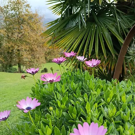 La Escuela En Cantabria Apartman