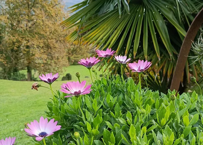 La Escuela En Cantabria Apartmán